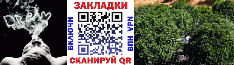 Что такое Горняк Псилоцибиновые грибы  АМФ  Гашиш  Cocaine  Канабис 
