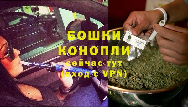 МДПВ Богородск